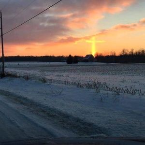 Meet your Posher, Stevie